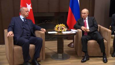 Владимир Путин - Реджеп Тайип Эрдоган - Путин назвал число посетивших Турцию с начала года россиян - tvc.ru - Россия - Сирия - Сочи - Турция - Афганистан - Ливия