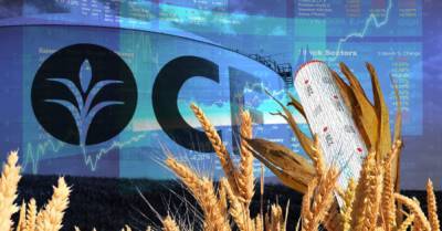 Как энергетический кризис взвинтит цены на продукты в Украине в следующем году - delo.ua - Россия - Украина