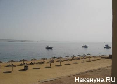 Число рейсов из Екатеринбурга на египетские курорты увеличится до пяти в неделю - nakanune.ru - Египет - Екатеринбург