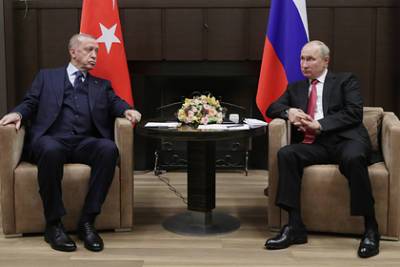 Владимир Путин - Реджеп Эрдоган - Путин оценил увеличение товарооборота между Россией и Турцией - lenta.ru - Россия - Турция