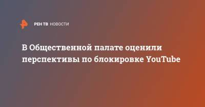 В Общественной палате оценили перспективы по блокировке YouTube - ren.tv - Россия