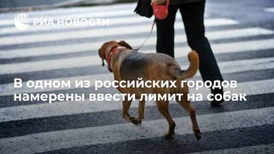 Михаил Исаев - Мэр Саратова Исаев предложил ввести лимит на домашних животных - ria.ru - Москва