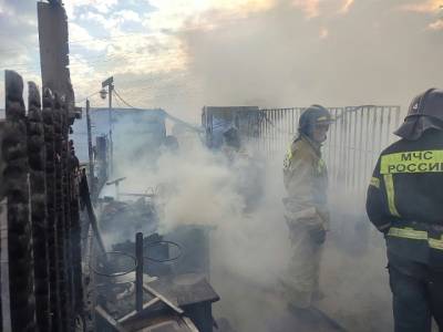 В Челябинске загорелся приют, где жили более 200 бездомных собак - u24.ru - Россия - Челябинск