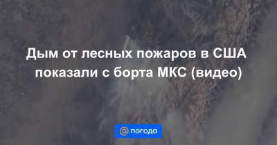 Олег Новицкий - Дым от лесных пожаров в США показали с борта МКС (видео) - news.mail.ru - Россия - США - шт. Калифорния - шт.Северная Каролина