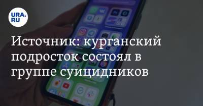 Источник: курганский подросток состоял в группе суицидников - ura.news - Россия - Курганская обл.