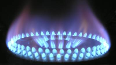 В Воронежской области бесплатно подведут газ к 5 тыс. участков - vestivrn.ru - Воронежская обл.