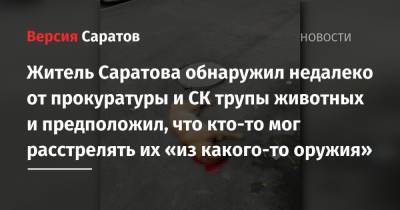 Житель Саратова обнаружил недалеко от прокуратуры и СК трупы животных и предположил, что кто-то мог расстрелять их «из какого-то оружия» - nversia.ru - Саратова