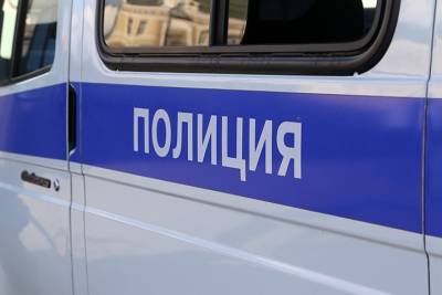Ольга Врадий - Двое иностранных граждан изнасиловали 42-летнюю женщину в Королеве - vm.ru - Москва - Россия