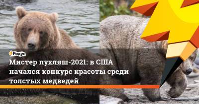 Мистер пухляш-2021: в США начался конкурс красоты среди толстых медведей - ridus.ru - США - шт.Аляска