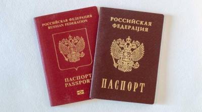 Валентина Казакова - Украинцы массово бегут в Россию - newzfeed.ru - Россия - Украина - Донбасс