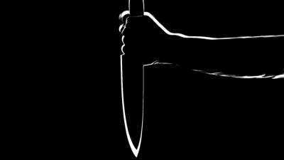 Житель Петербурга жестоко зарезал насильника своей возлюбленной - inforeactor.ru - Ленинградская обл. - Петербурга