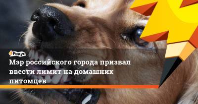 Михаил Исаев - Мэр российского города призвал ввести лимит на домашних питомцев - ridus.ru - Россия