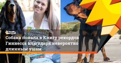 Собака попала в Книгу рекордов Гиннесса благодаря невероятно длинным ушам - ridus.ru