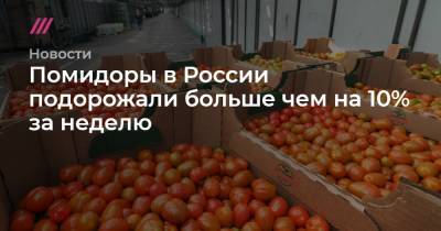 Помидоры в России подорожали больше чем на 10% за неделю - tvrain.ru - Россия