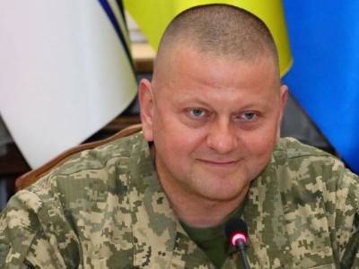 Валерий Залужный - Военнослужащим ВСУ разрешили открывать ответный огонь в зоне ООС – пресс-офицер - gordonua.com - Россия - Украина - Крым - Луганская обл. - Донбасс - Донецкая обл.