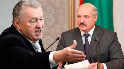 Александр Лукашенко - Владимир Жириновский - Максим Жаров - Жириновский провёл «стимуляцию» Александру Лукашенко - politnavigator.net - Россия - Белоруссия - ?