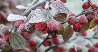 Заморозки ночью и утром до минус 5 — завтра утром и до конца недели - cxid.info - Луганск