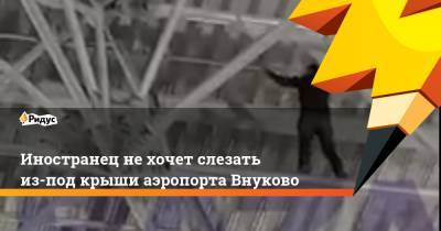 Иностранец не хочет слезать из-под крыши аэропорта Внуково - ridus.ru - Москва