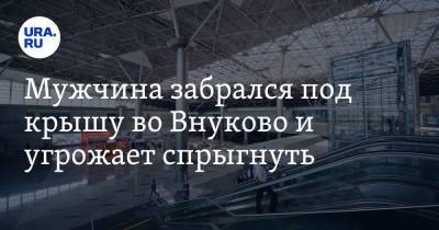 Мужчина забрался под крышу во Внуково и угрожает спрыгнуть. Видео - ura.news - Москва - Испания
