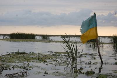 Алексей Резников - Грызлов обвинил Украину в нарушении режима прекращения огня в Донбассе - mk.ru - Россия - Украина