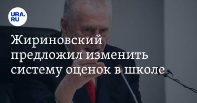 Владимир Жириновский - Жириновский предложил изменить систему оценок в школе. «Все убрать» - ura.news - Россия