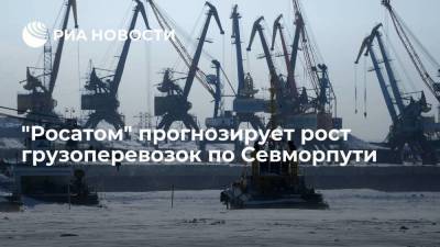 Алексей Лихачев - "Росатом" прогнозирует рост грузоперевозок по Севморпути после 2035 года - smartmoney.one - Россия