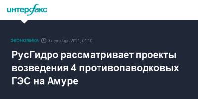 РусГидро рассматривает проекты возведения 4 противопаводковых ГЭС на Амуре - interfax.ru - Москва