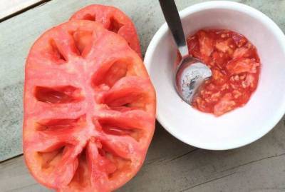 Как собрать и сохранить до следующего года семена томатов - skuke.net