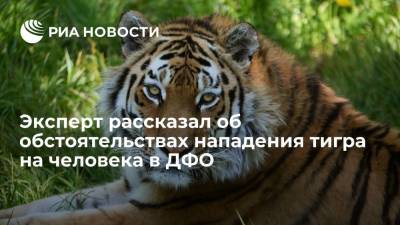 Сергей Арамилев - Эксперт Арамилев: нападение тигра на человека в Хабаровском крае было случайностью - ria.ru - Хабаровский край - Владивосток - район Нанайский