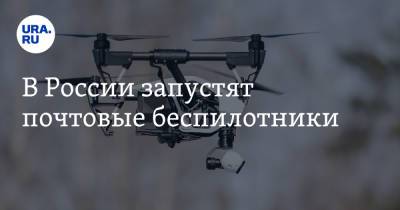 Максим Акимов - Владимир Солодов - В России запустят почтовые беспилотники - ura.news - Россия - Камчатский край