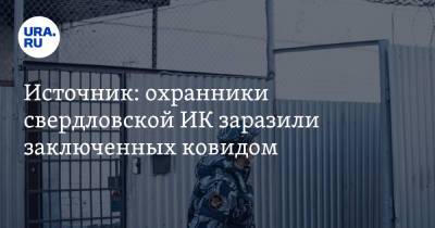 Дмитрий Лошагин - Источник: охранники свердловской ИК заразили заключенных ковидом - ura.news - Россия - Екатеринбург - Свердловская обл.