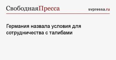 Германия назвала условия для сотрудничества с талибами - svpressa.ru - Германия - Афганистан