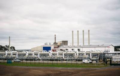 В Японии предположили, что природный газ может стать средством перехода к чистой экономике - trend.az - Япония