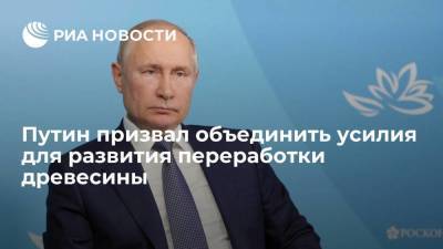 Владимир Путин - Президент Путин призвал власти и бизнес объединить усилия в развитии переработки древесины - smartmoney.one - Россия - Владивосток