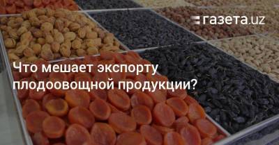 Что мешает экспорту плодоовощной продукции? - gazeta.uz - Узбекистан