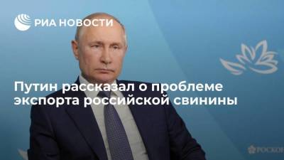 Владимир Путин - Президент Путин: мы постоянно занимаемся вопросом экспорта свинины - smartmoney.one - Россия - Владивосток
