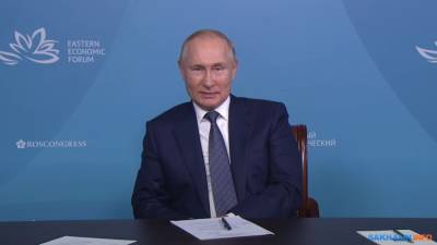 Владимир Путин - Антон Силуанов - Пятилетний мораторий на проверки российского бизнеса пока не вводят - sakhalin.info - Россия