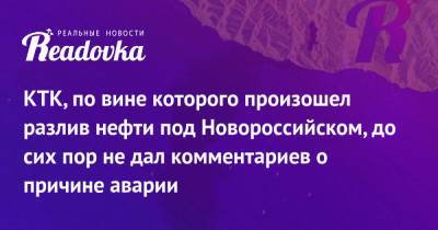 Виктория Абрамченко - КТК, по вине которого произошел разлив нефти под Новороссийском, до сих пор не дал комментариев о причине аварии - readovka.news - Новороссийск - Черное Море