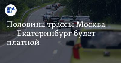 Павел Крашенинников - Вячеслав Петушенко - Половина трассы Москва — Екатеринбург будет платной - ura.news - Москва - Екатеринбург - Казань
