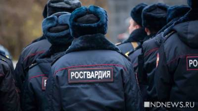 За пять лет на Северном Кавказе ликвидировали 250 террористов - newdaynews.ru - Китай - Эмираты