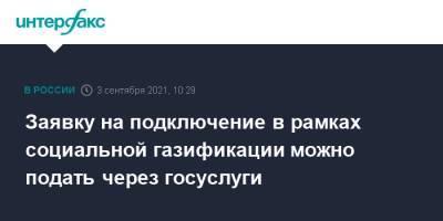 Михаил Мишустин - Заявку на подключение в рамках социальной газификации можно подать через госуслуги - interfax.ru - Москва - Россия