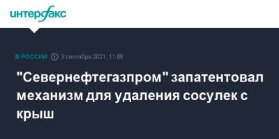 Валентин Матвиенко - Валентина Матвиенко - "Севернефтегазпром" запатентовал механизм для удаления сосулек с крыш - interfax.ru - Москва - окр. Янао - Петербург