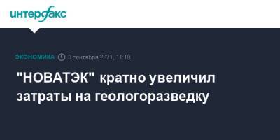 Леонид Михельсон - "НОВАТЭК" кратно увеличил затраты на геологоразведку - interfax.ru - Москва