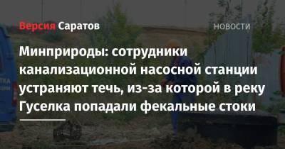 Минприроды: сотрудники канализационной насосной станции устраняют течь, из-за которой в реку Гуселка попадали фекальные стоки - nversia.ru - Саратов - район Волжский, Саратов - Экология