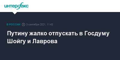 Сергей Шойгу - Владимир Путин - Сергей Лавров - Путину жалко отпускать в Госдуму Шойгу и Лаврова - interfax.ru - Москва - Россия