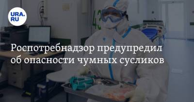 Анна Попова - Роспотребнадзор предупредил об опасности чумных сусликов - ura.news - Россия - респ. Алтай - Иркутск - Монголия