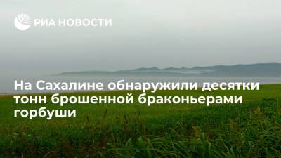 "Экологическая вахта Сахалина" обнаружила десятки тонн брошенной браконьерами горбуши - ria.ru - Южно-Сахалинск - Сахалин - Экология