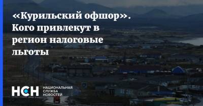 Владимир Путин - «Курильский офшор». Кого привлекут в регион налоговые льготы - nsn.fm - Россия