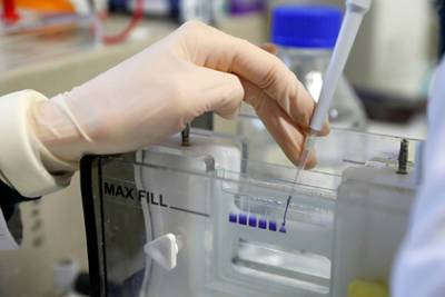 Сравнена выработка антител после вакцинации Pfizer и Moderna - lenta.ru - США