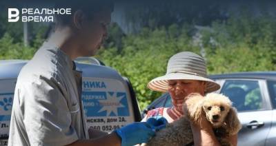 Максим Платонов - Мобильный пункт стерилизации животных приедет в казанский поселок Аракчино - realnoevremya.ru - респ. Татарстан - Казань